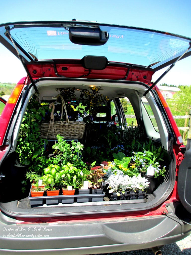 carload of nursery plants https://ourfairfieldhomeandgarden.com/spring-fever/