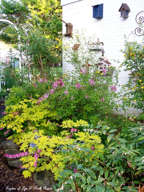 Spring Blooms https://ourfairfieldhomeandgarden.com/spring-fever/