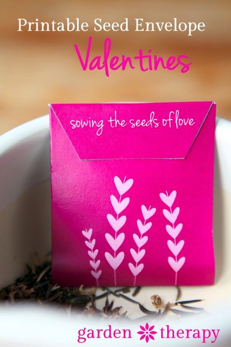 seed packet printable http://gardentherapy.ca/seed-packet-valentines/