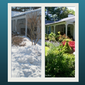 Winter & Spring https://ourfairfieldhomeandgarden.com/spring-fever/