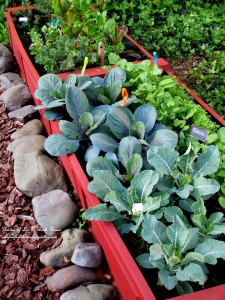 raised planting beds https://ourfairfieldhomeandgarden.com/diy-project-raised-beds-for-free/