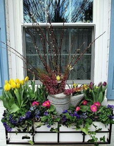 spring window box https://ourfairfieldhomeandgarden.com/spring-fever/