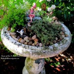 Birdbath Fairy Garden https://ourfairfieldhomeandgarden.com/diy-project-mothers-day-fairy-garden/