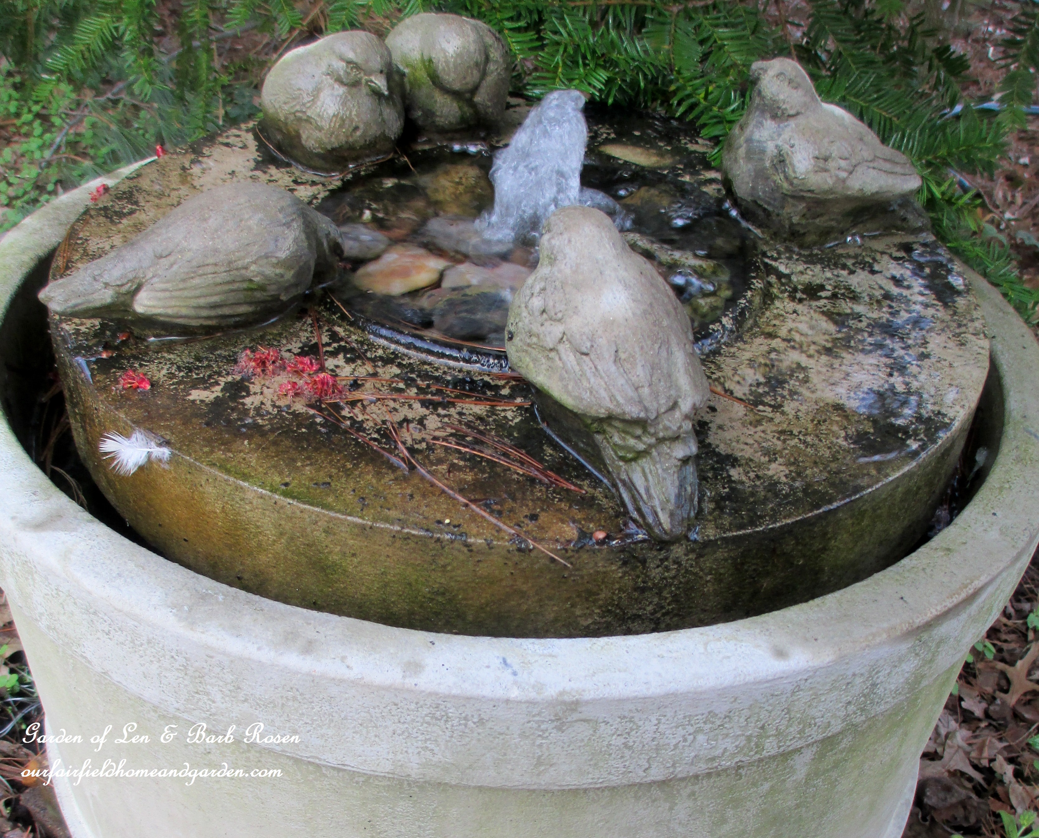 Birdbath https://ourfairfieldhomeandgarden.com/signs-of-spring-at-our-fairfield-home-garden/