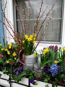 spring windowboxes https://ourfairfieldhomeandgarden.com/diy-project-welcome-spring-time-to-change-the-window-boxes/