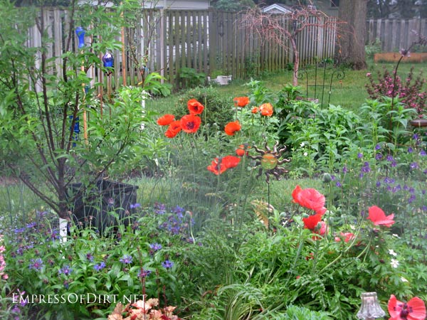 poppies http://empressofdirt.net/seed-saving-tip-mark-your-favourite-blossoms/