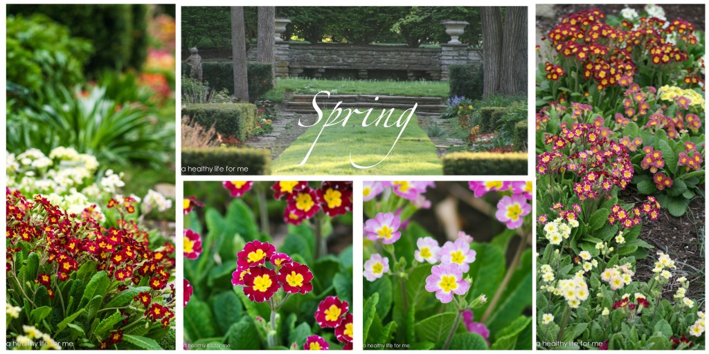 spring garden http://ahealthylifeforme.com/2013/05/16/spring-garden/