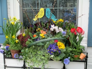 Spring Windowbox https://ourfairfieldhomeandgarden.com/diy-project-spring-windowbox-time/