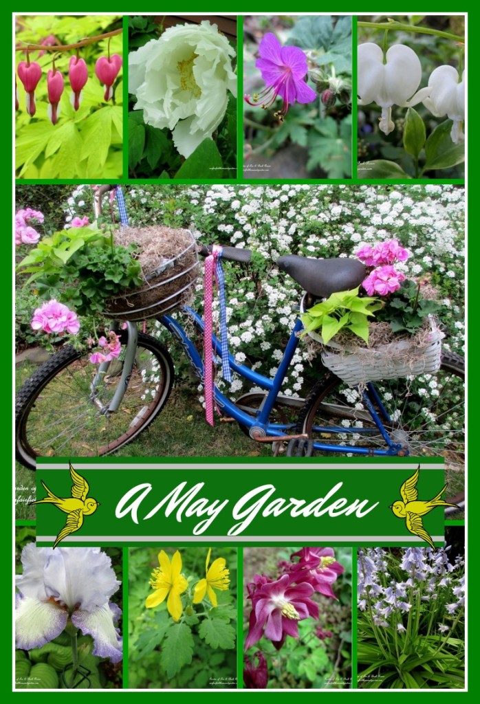May Garden