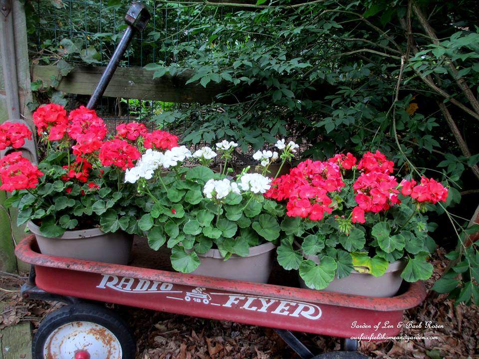 Wagon Planter https://ourfairfieldhomeandgarden.com/container-gardens-our-fairfield-home-garden/