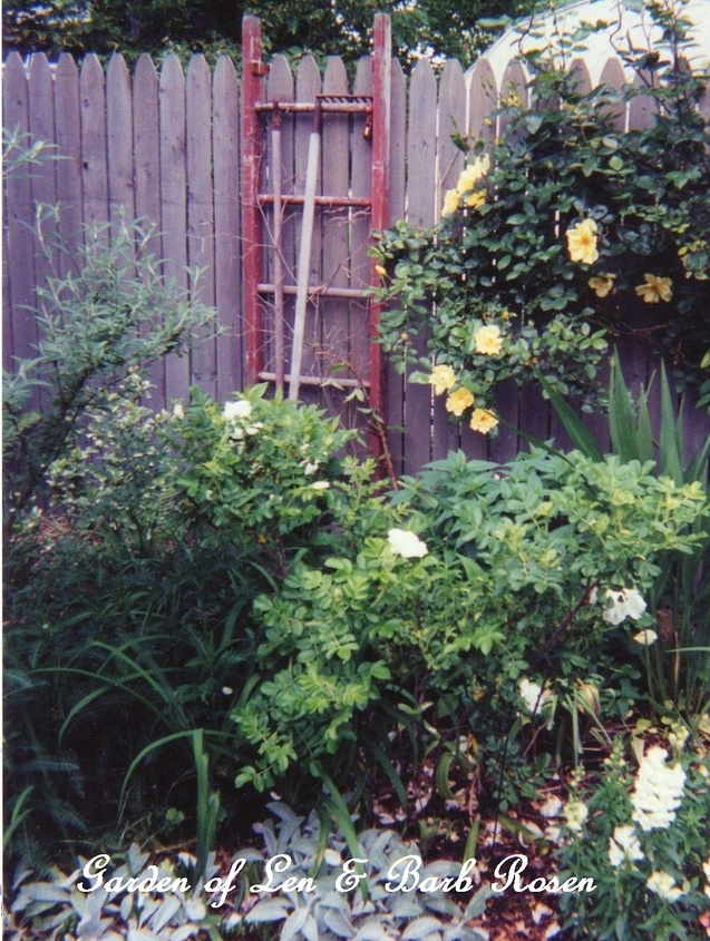 Garden Ladders https://ourfairfieldhomeandgarden.com/garden-ladders/