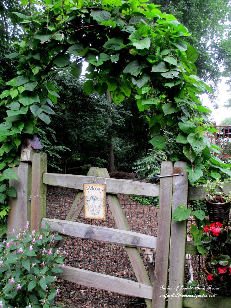 Simple Branch Arbor https://ourfairfieldhomeandgarden.com/diy-project-a-simple-branch-arbor/