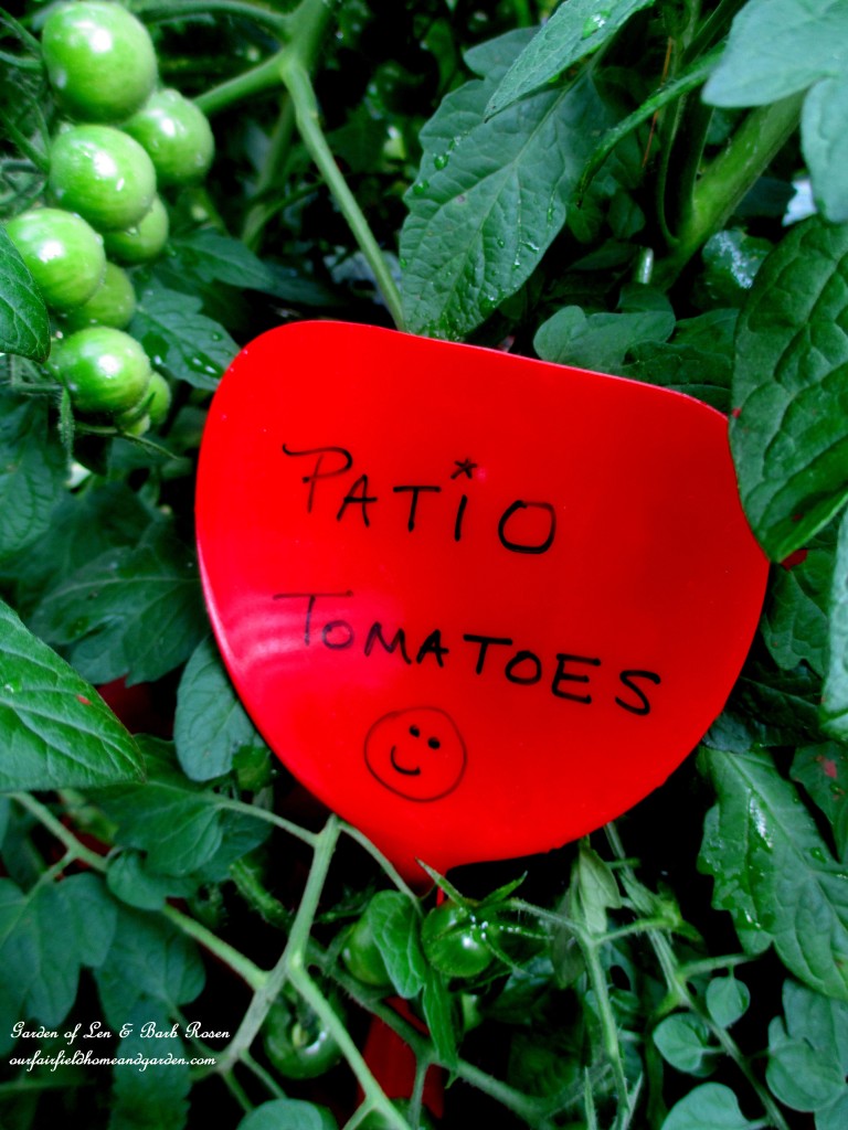 Dollar Store Garden Marker https://ourfairfieldhomeandgarden.com/kitschy-kitchen-garden-accents/