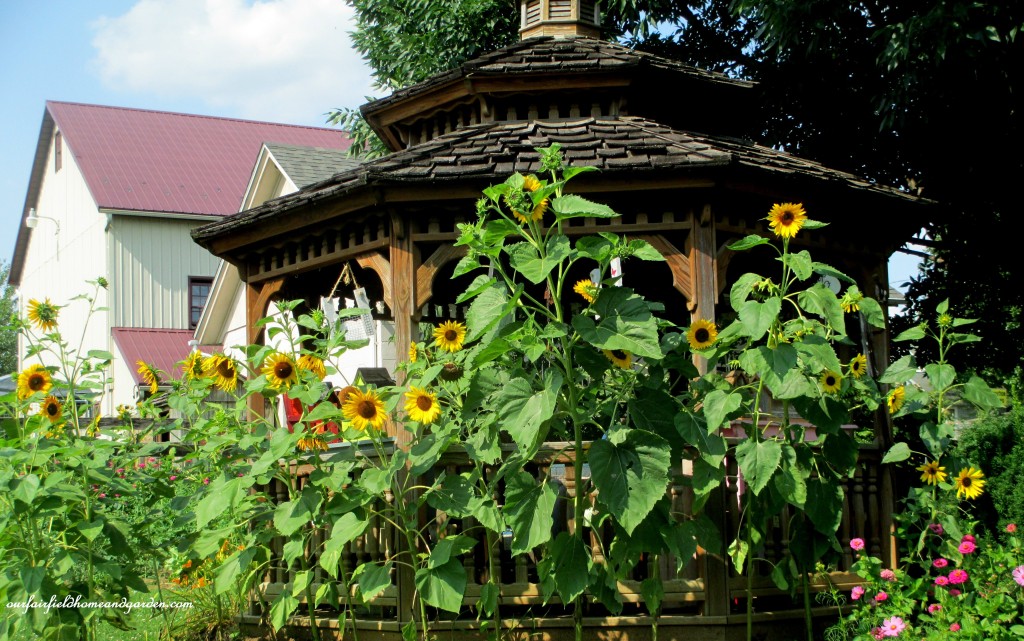 Sunflowers & Gazebo https://ourfairfieldhomeandgarden.com/field-trip-potting-bench-from-a-dresser-and-other-ideas-gathered-in-lancaster-county-pa/