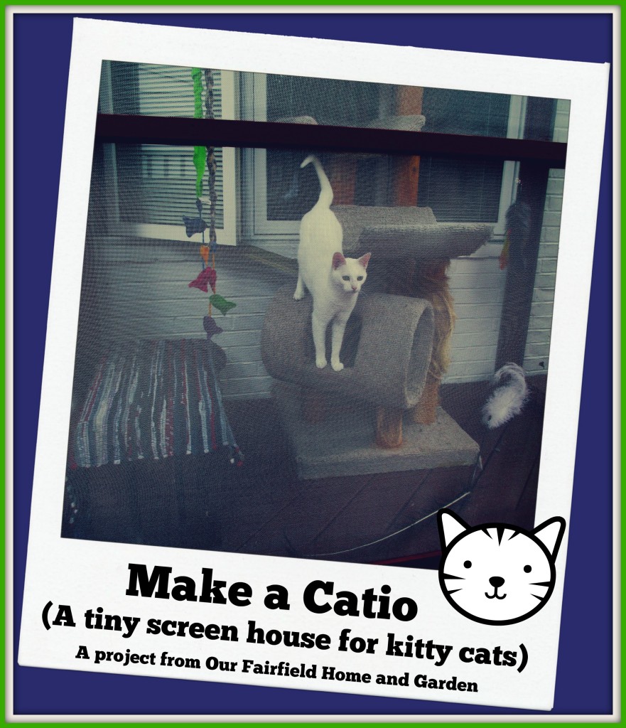 Catio https://ourfairfieldhomeandgarden.com/build-a-catio-a-tiny-screen-house-for-kitty-cats/