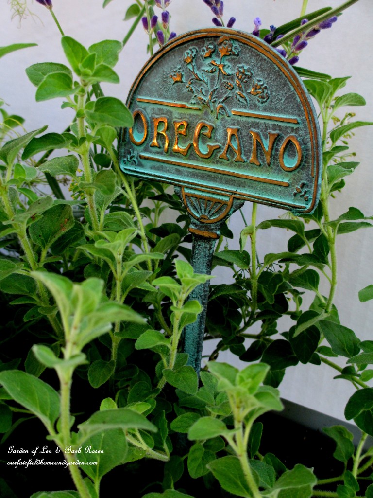 Oregano in the Windowsill Windowbox https://ourfairfieldhomeandgarden.com/diy-windowsill-windowboxes/