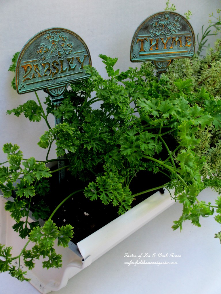 Prsley & Time in the Windowsill Windowbox https://ourfairfieldhomeandgarden.com/diy-windowsill-windowboxes/