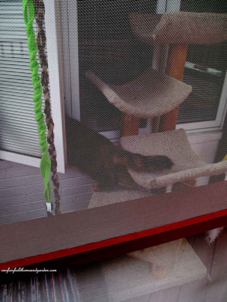 Catio https://ourfairfieldhomeandgarden.com/build-a-catio-a-tiny-screen-house-for-kitty-cats/