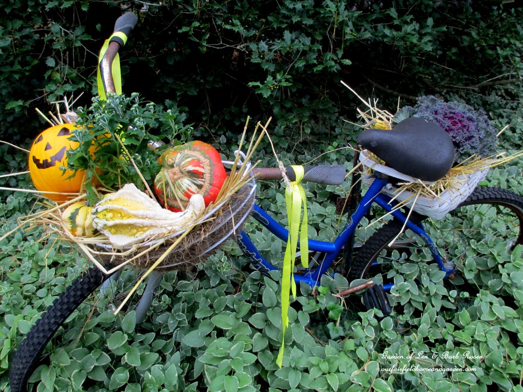 Decorate a Fall Bike Planter! https://ourfairfieldhomeandgarden.com/fall-outdoor-decor-our-fairfield-home-and-garden/