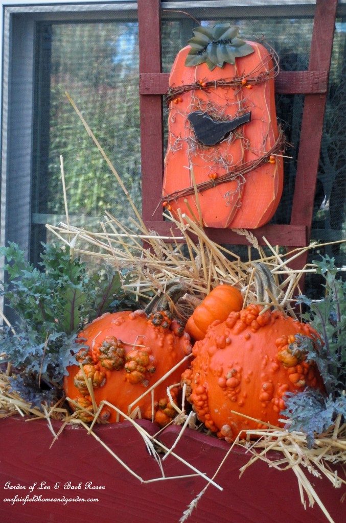 Fall Kitchen Windowbox https://ourfairfieldhomeandgarden.com/fall-outdoor-decor-our-fairfield-home-and-garden/