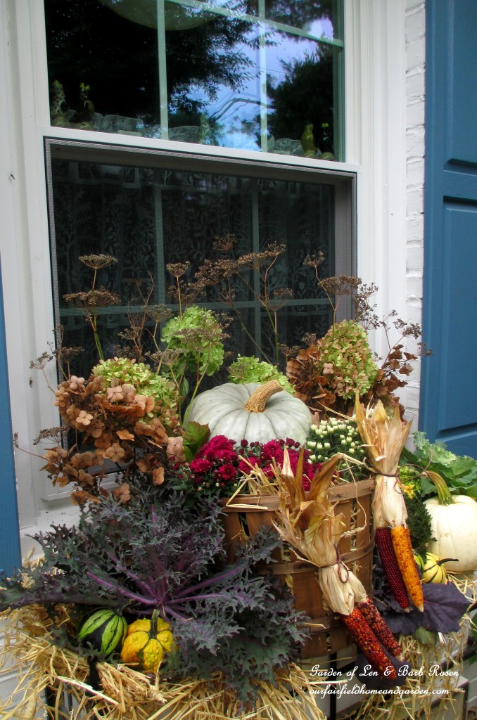 Fall Windowbox https://ourfairfieldhomeandgarden.com/fall-outdoor-decor-our-fairfield-home-and-garden/