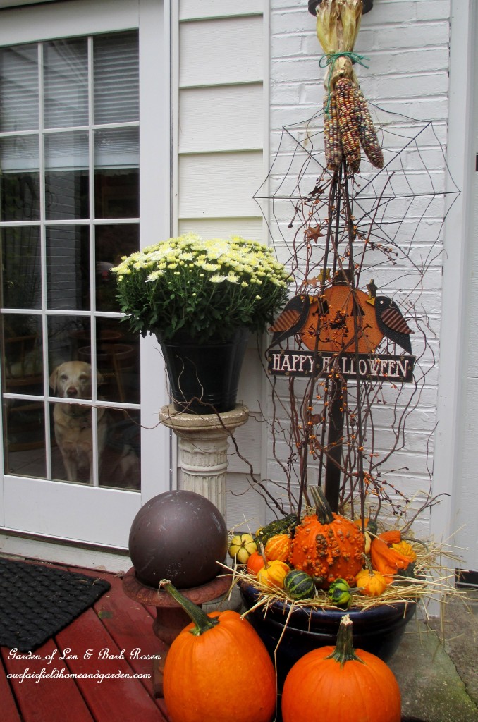 Kitchen Door Decorations https://ourfairfieldhomeandgarden.com/fall-outdoor-decor-our-fairfield-home-and-garden/