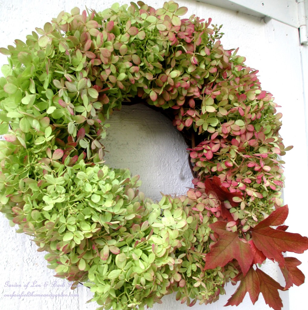 Hydrangea Wreath https://ourfairfieldhomeandgarden.com/diy-free-fall-wreath-using-hydrangeas/