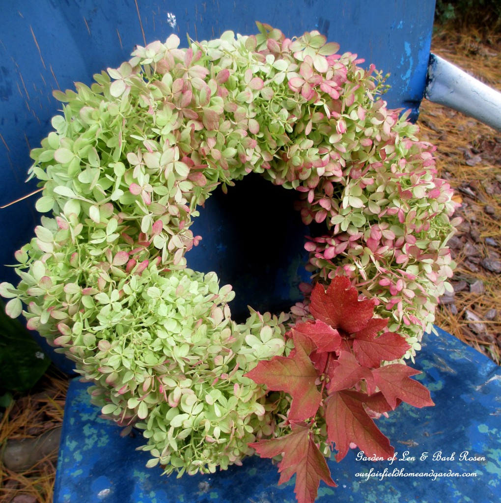 Hydrangea Wreath https://ourfairfieldhomeandgarden.com/diy-free-fall-wreath-using-hydrangeas/
