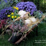 Country Cottage Fall https://ourfairfieldhomeandgarden.com/our-fairfield-home-garden-welcomes-fall/
