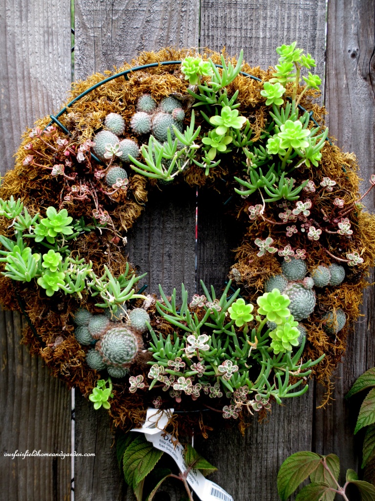 Succulent Wreath https://ourfairfieldhomeandgarden.com/unexpected-garden-accents/