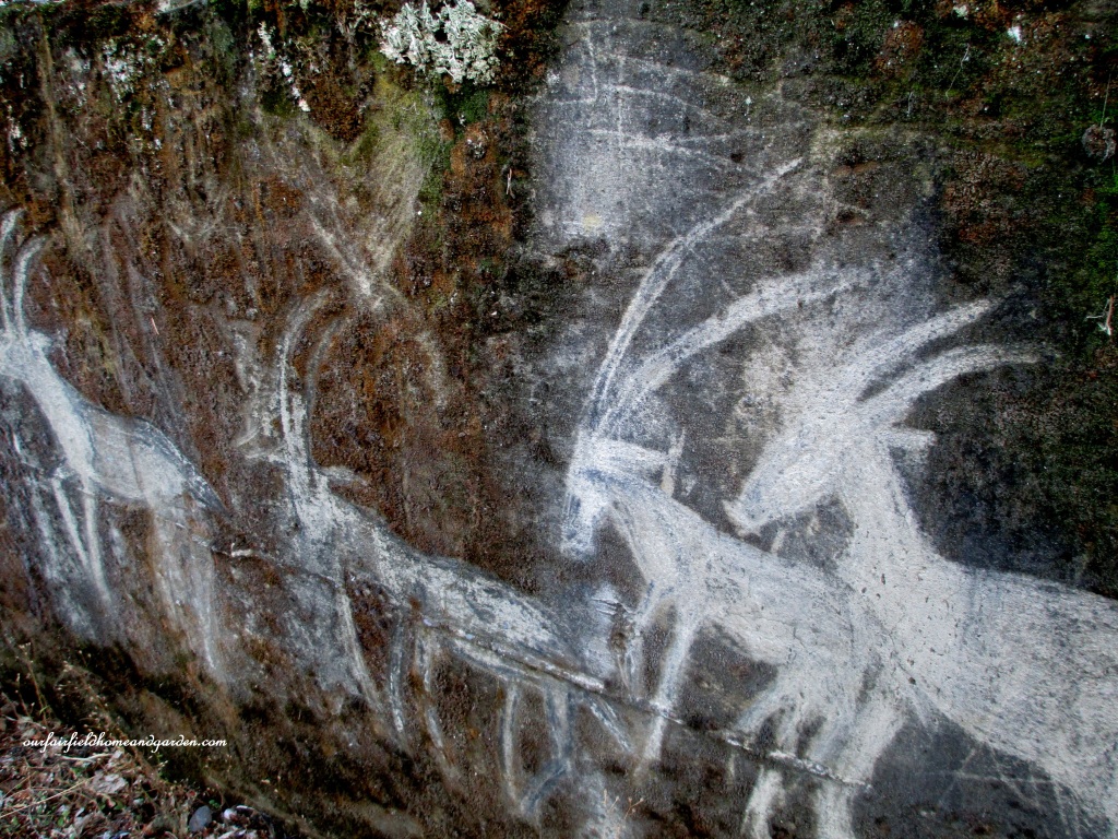Moss Carvings https://ourfairfieldhomeandgarden.com/unexpected-garden-accents/