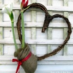 Amaryllis Heart Wreath https://ourfairfieldhomeandgarden.com/diy-amaryllis-heart-wreath/