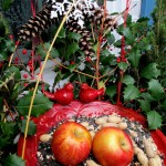 Birdfeeder Windowbox https://ourfairfieldhomeandgarden.com/winter-decorating-at-our-fairfield-home-garden/