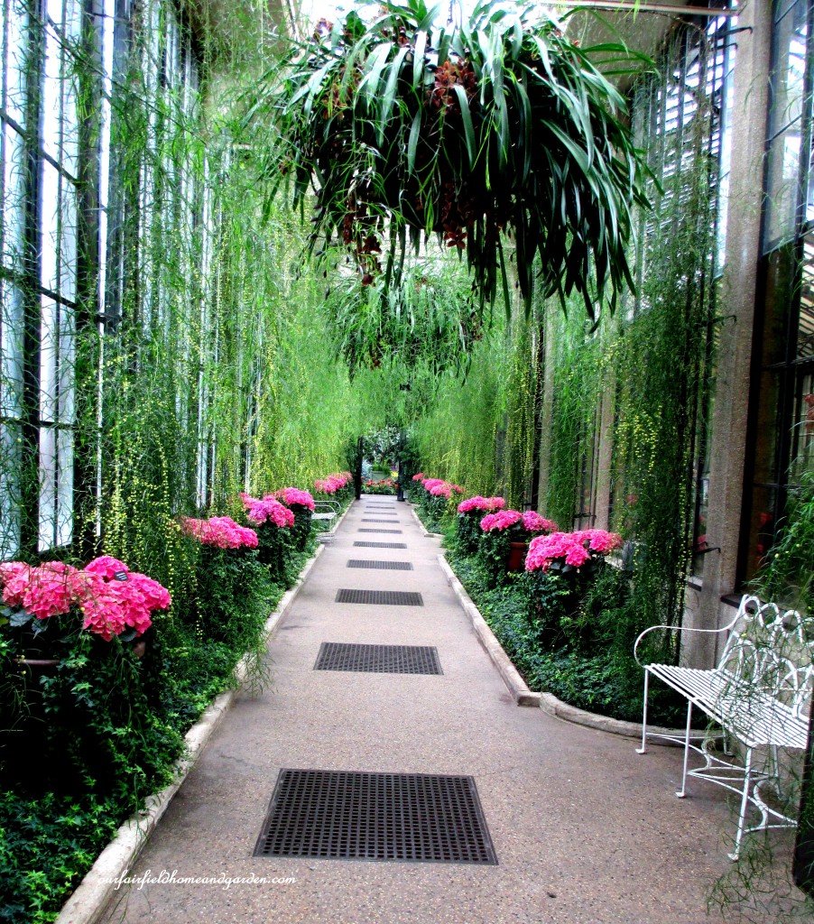 Flowering Hall ~ Longwood Gardens https://ourfairfieldhomeandgarden.com/a-visit-to-longwood-gardens-orchid-extravaganza-2015/