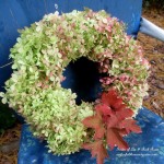 Dried Hydrangea Wreath https://ourfairfieldhomeandgarden.com/diy-free-fall-wreath-using-hydrangeas/