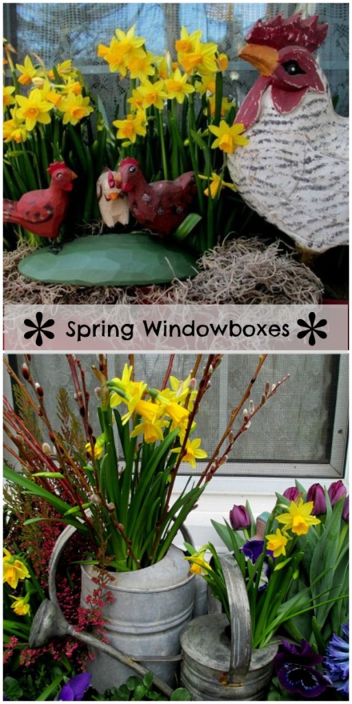 Spring Windowboxes by Our Fairfield Home and Garden https://ourfairfieldhomeandgarden.com/spring-windowboxes/