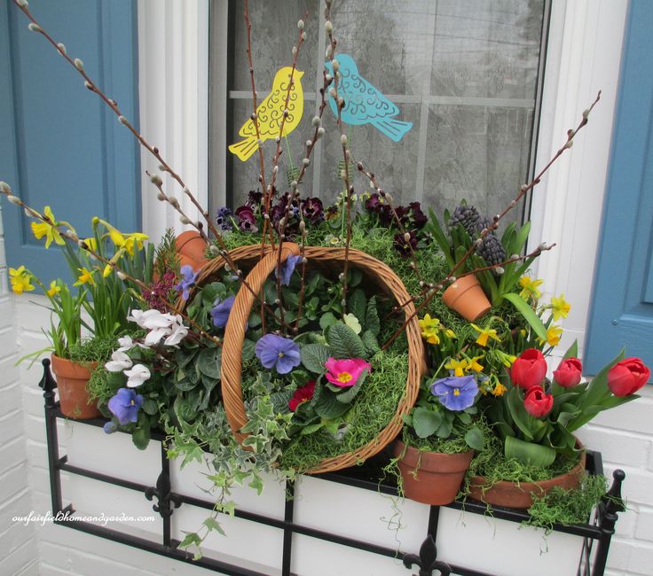 Spring Windowbox with Tulips, Pansies Ivy, Hyacinths, Daffodils, Primroses, Heather, Cyclamen and Pussy Willow https://ourfairfieldhomeandgarden.com/spring-windowboxes/