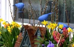 Birdhouse Themed Spring Windowbox