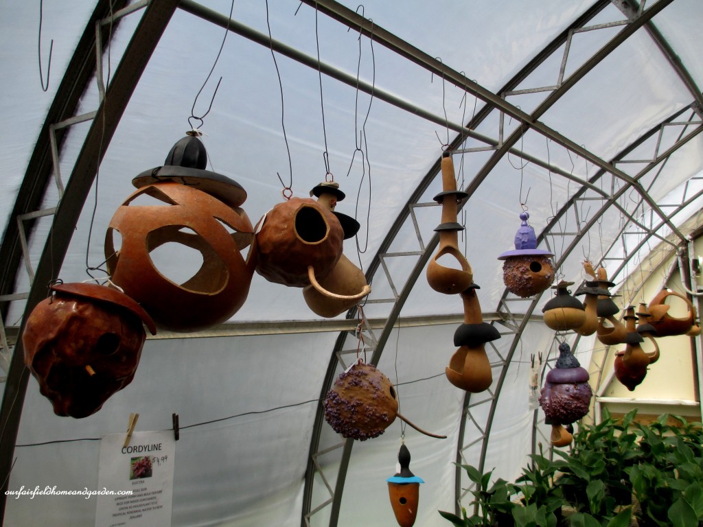 Carved Gourds Display https://ourfairfieldhomeandgarden.com/road-trip-lancaster-county-greenhouses/