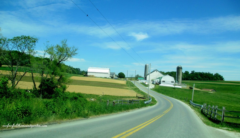 Driving down a country road. https://ourfairfieldhomeandgarden.com/road-trip-lancaster-county-greenhouses/