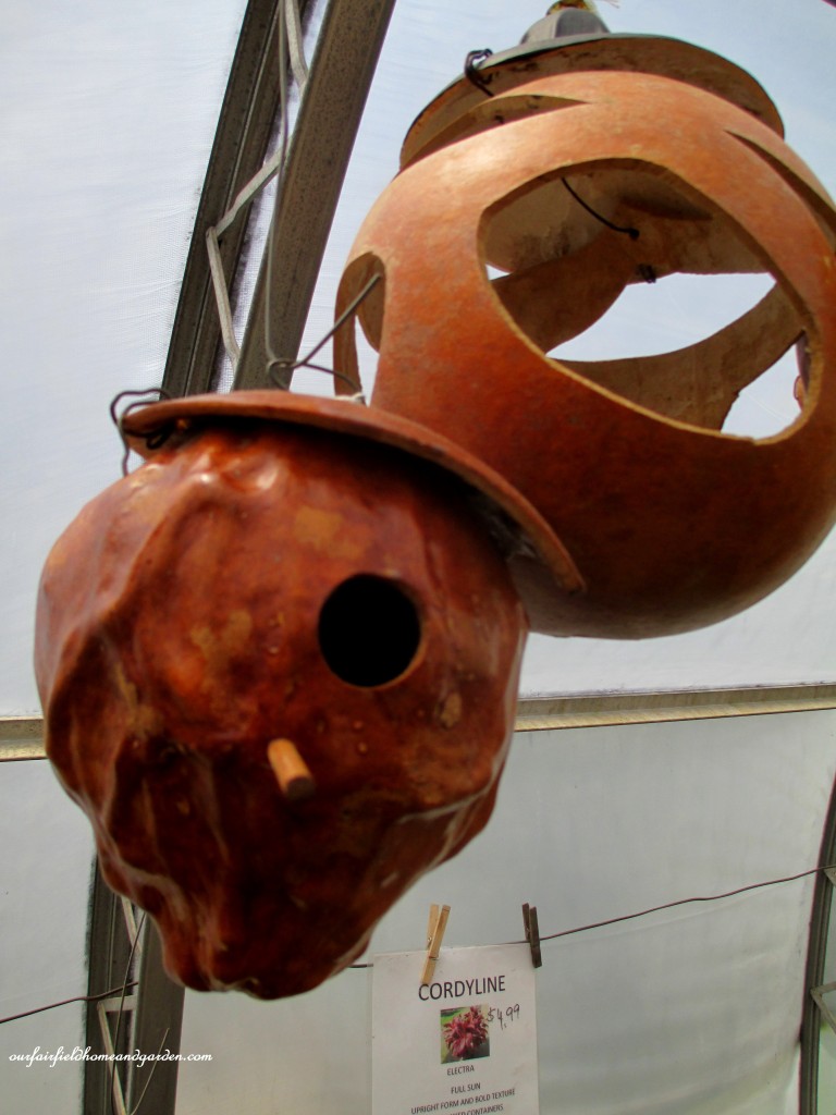 Gourd birdhouses and feeders https://ourfairfieldhomeandgarden.com/road-trip-lancaster-county-greenhouses/