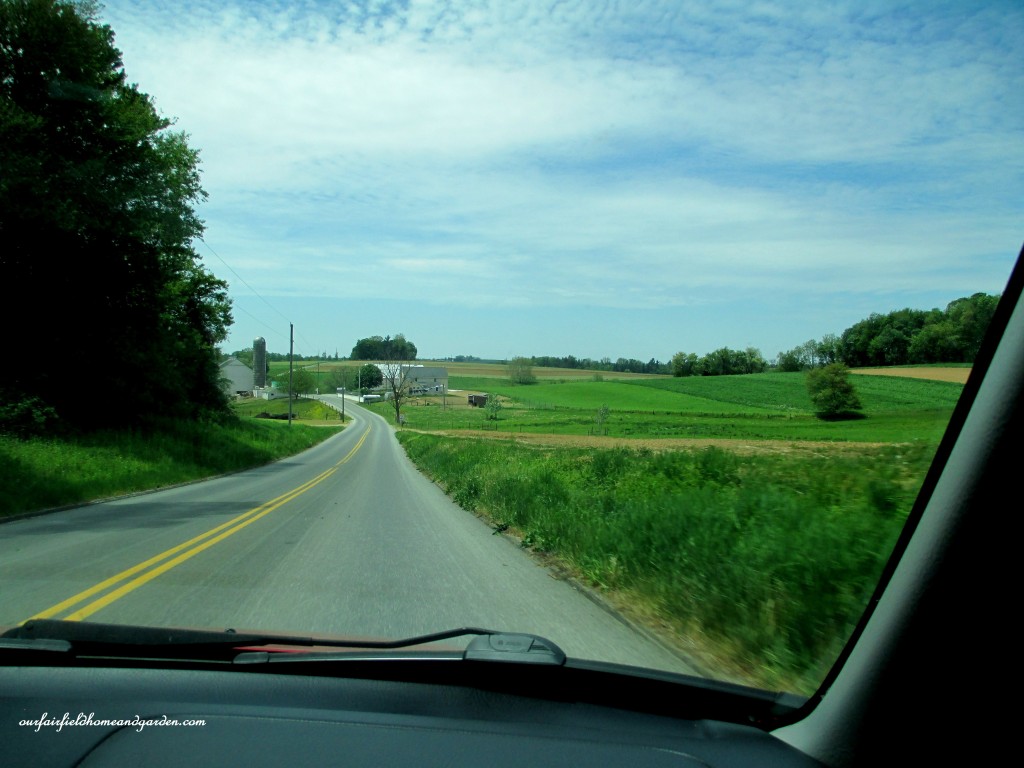 Stopping by Amish farmstands for fresh brown eggs, shoo fly pie and strawberries on the way to Groff's Plant Farm!