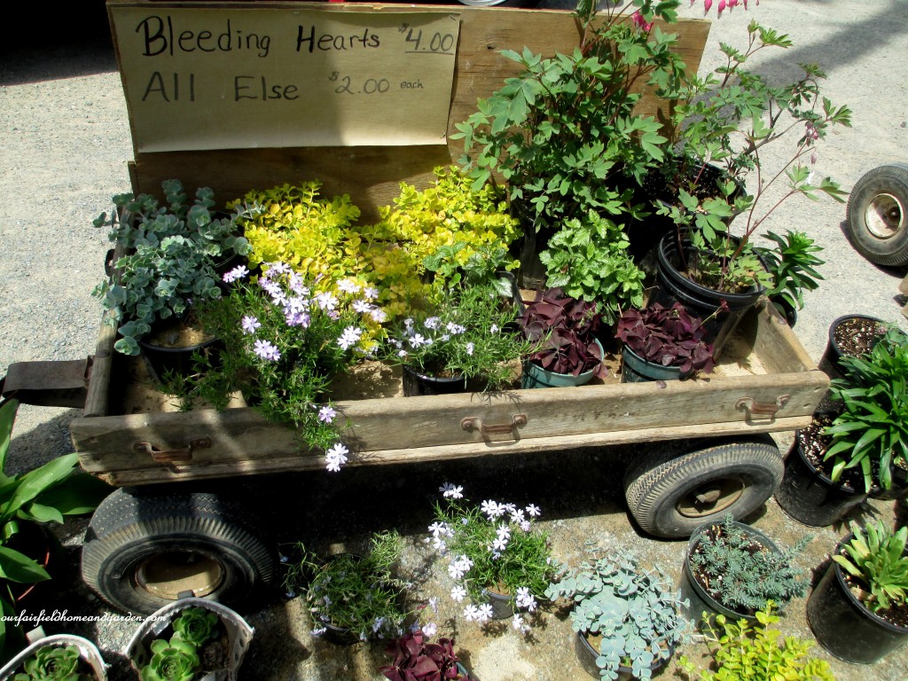 roadside stand https://ourfairfieldhomeandgarden.com/road-trip-lancaster-county-greenhouses/