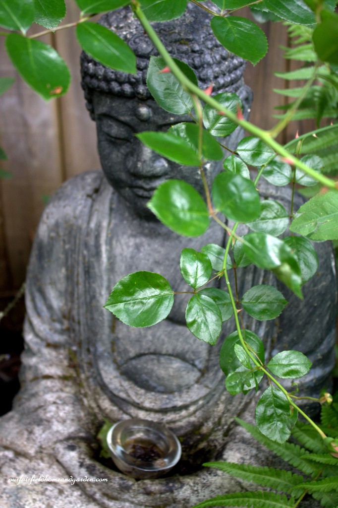 Buddha ~ Cottage In the Roses https://ourfairfieldhomeandgarden.com/cottage-in-the-roses/