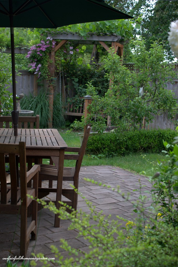 Patio ~ Cottage In the Roses https://ourfairfieldhomeandgarden.com/cottage-in-the-roses/