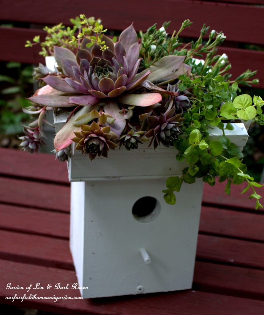 DIY Greenroof Birdhouse https://ourfairfieldhomeandgarden.com/diy-easy-greenroof-birdhouses/