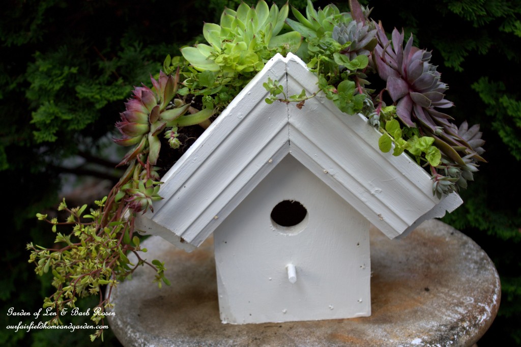DIY Greenroof Birdhouse https://ourfairfieldhomeandgarden.com/diy-easy-greenroof-birdhouses/