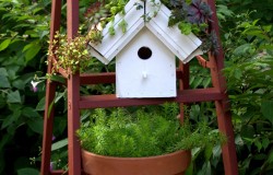 Greenroof Birdhouses