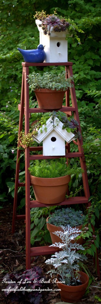 Greenroof Birdhouses https://ourfairfieldhomeandgarden.com/diy-easy-greenroof-birdhouses/