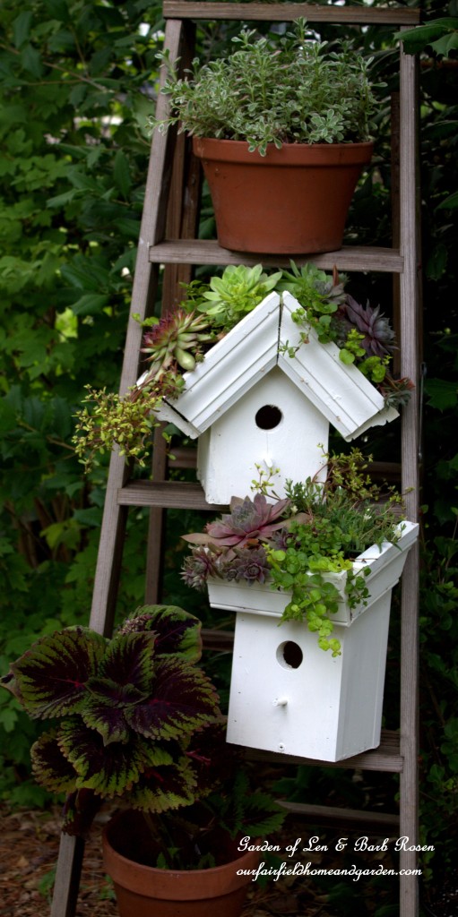 Greenroof Birdhouses https://ourfairfieldhomeandgarden.com/diy-easy-greenroof-birdhouses/